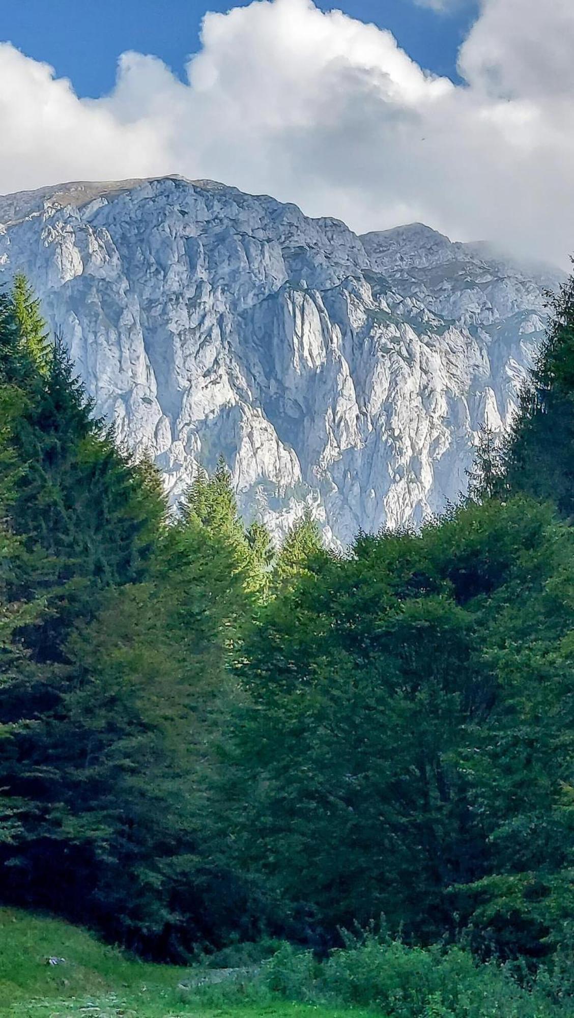 Cazare Zorilor Zărneşti Rom bilde