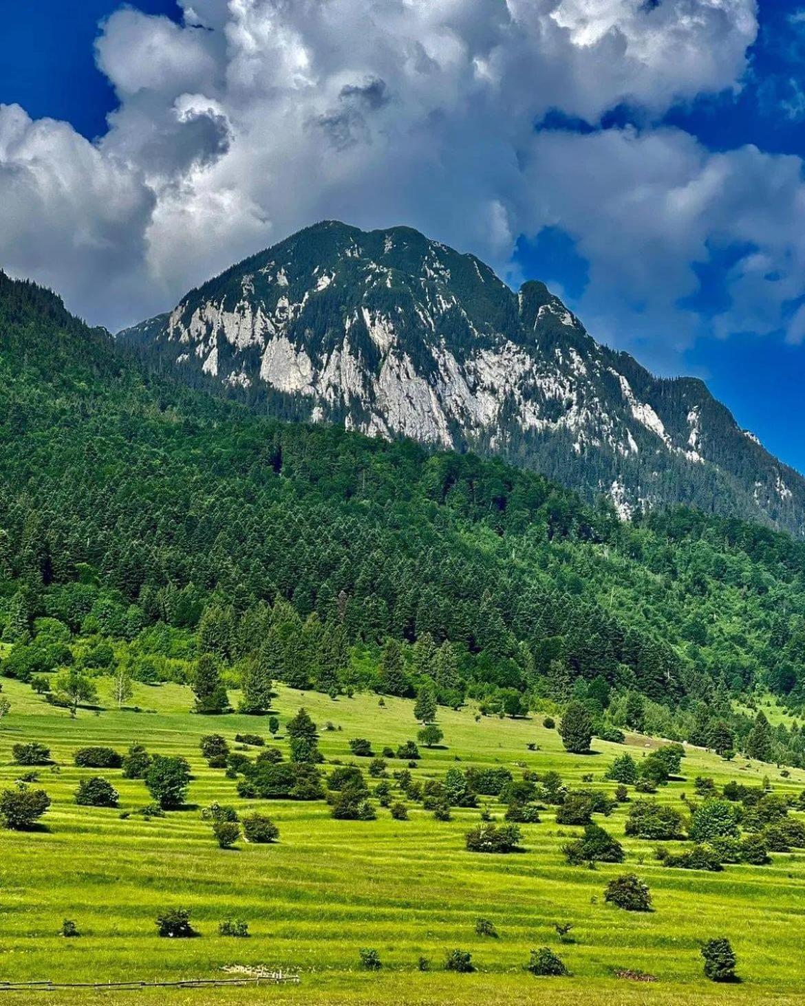 Cazare Zorilor Zărneşti Rom bilde