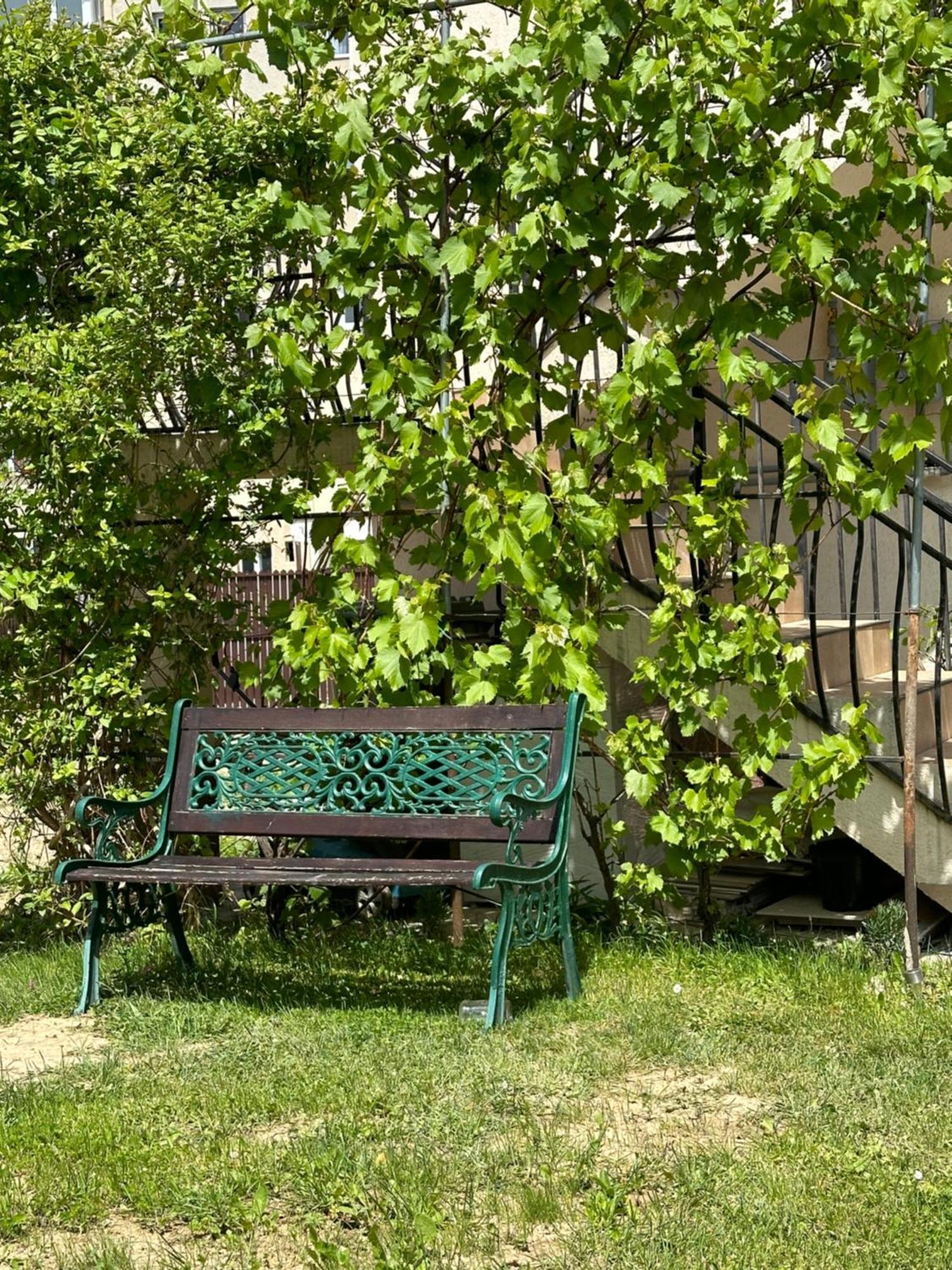 Cazare Zorilor Zărneşti Rom bilde